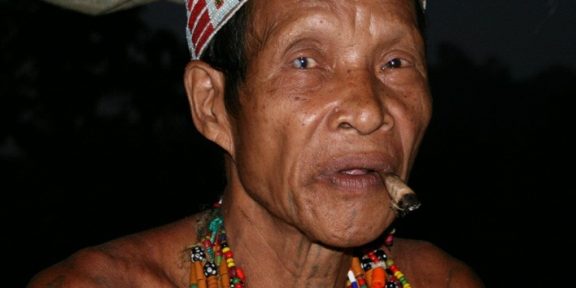 Prasečí historky z indonéského ostrova Siberut