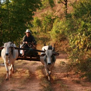Venkovský život, Barma