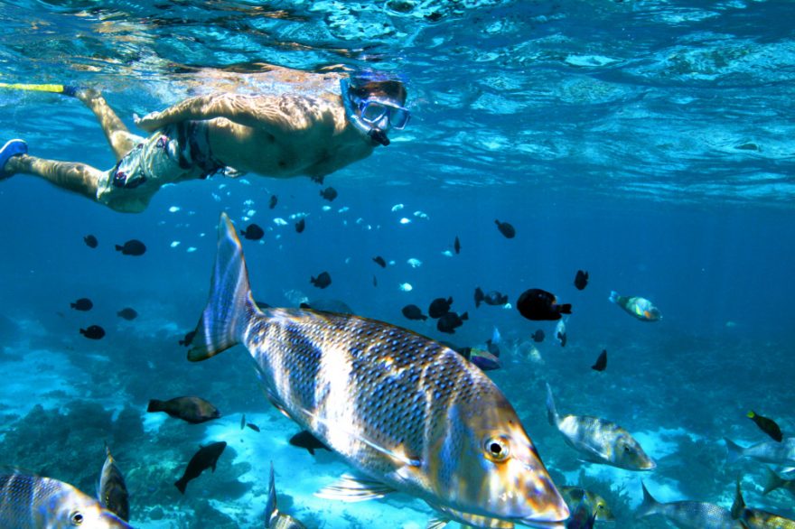 První pohled pod hladinu je nejkrásnější!