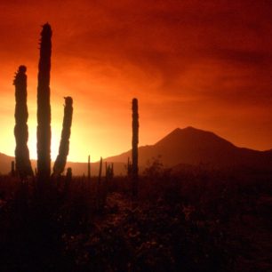 Západ slunce nad mexickou pouští