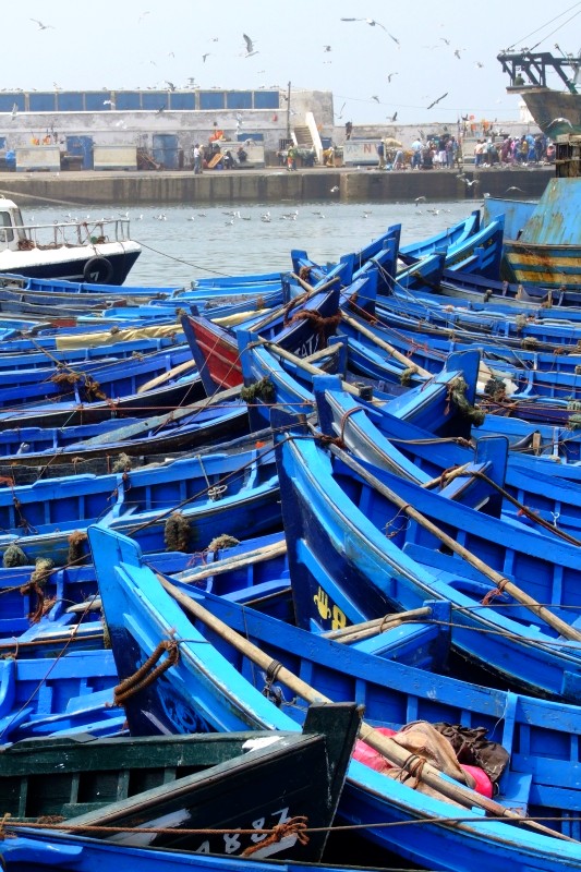 Desiatky lodí v prístave Essaouira