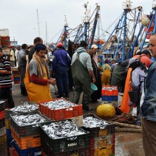 Rybí trh v rannom prístave