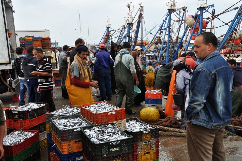 Rybí trh v rannom prístave