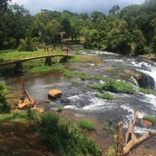 Na Bolavenské náhorní plošině s epěstuje jedna z nejlepších káv na světě, Laos