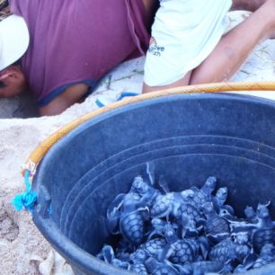 Starost o nejmenší