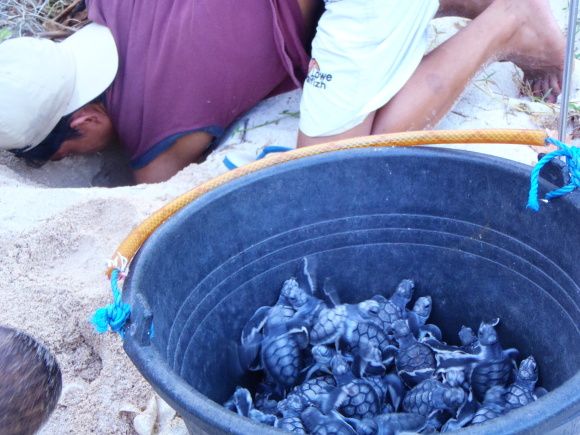 Starost o nejmenší