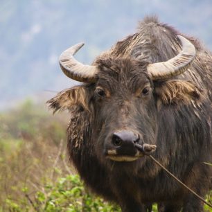 Venkov má taky své problémy