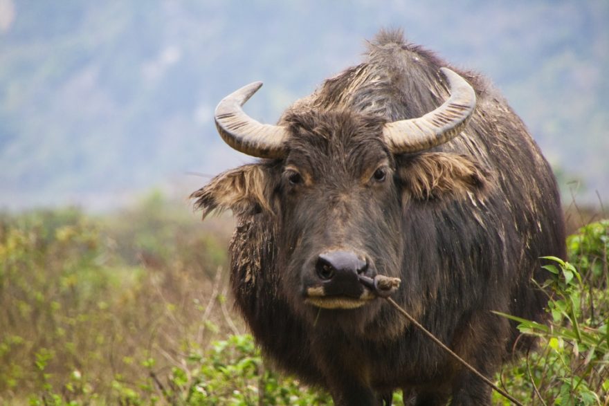 Venkov má taky své problémy