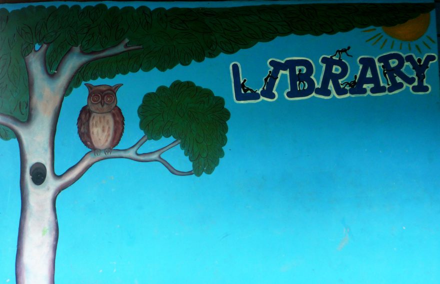 Maskotem knihovny se stala sova - symbol vědění a moudrosti