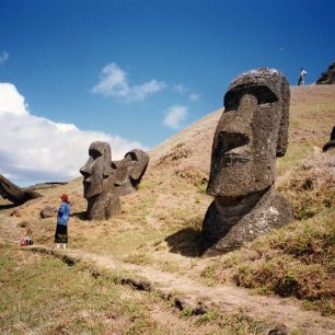 Fotografie Dany Trávníčkové
