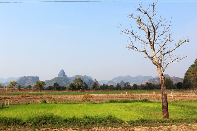 Typická laoská krajina