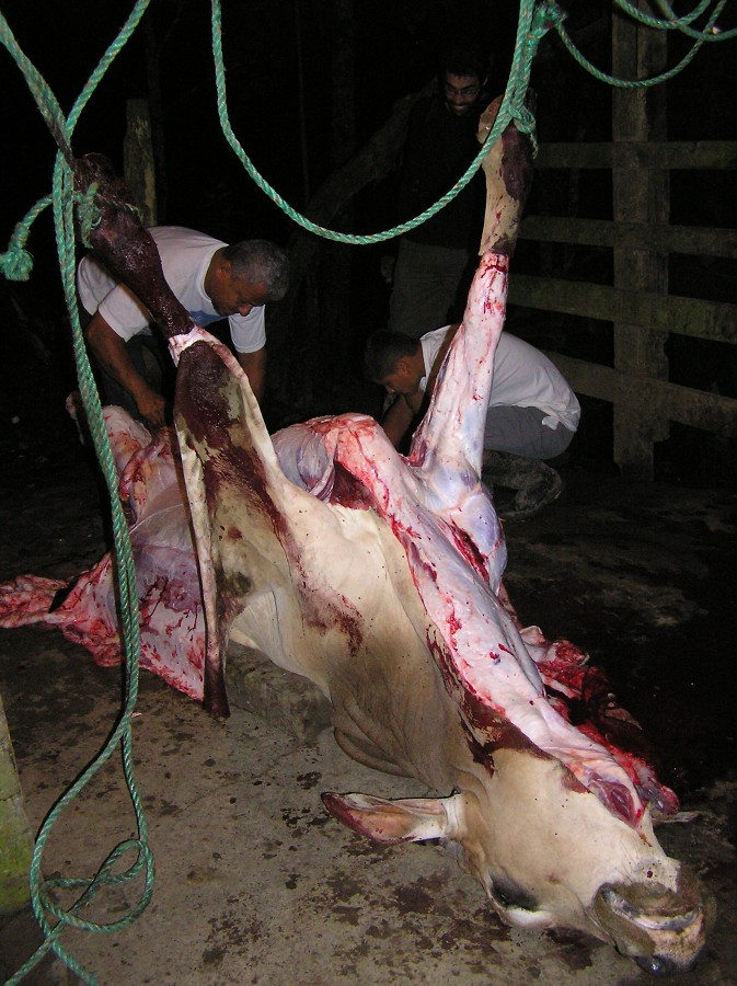 Po cestě zpátky ještě potkáváme tento výjev