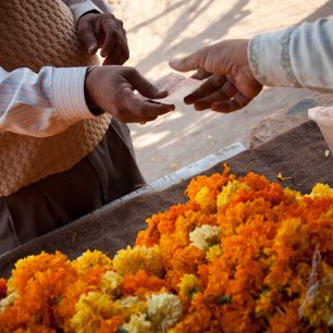Nákup květin pro hinduistické bohy