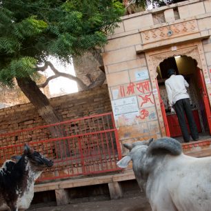 Ranní zastavení při modlitbě