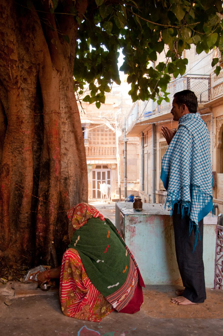 Banyánové stromy jsou posvátné