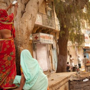 Banyánové stromy jsou posvátné