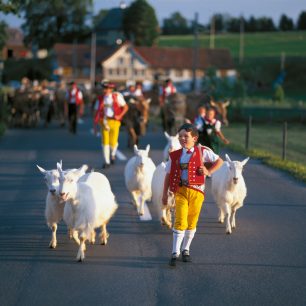 Kozy shánějí mali kluci, Christof Sonderegger