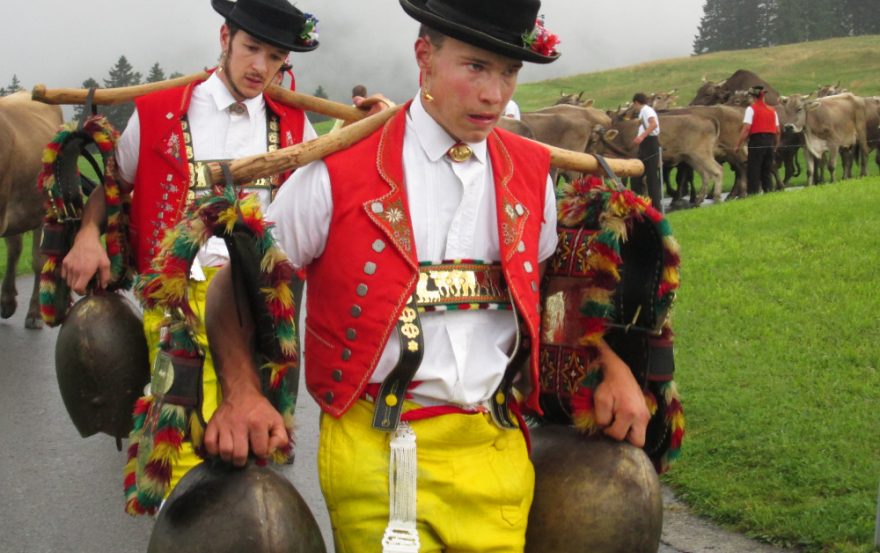 Nést zvonce je pěkná dřina