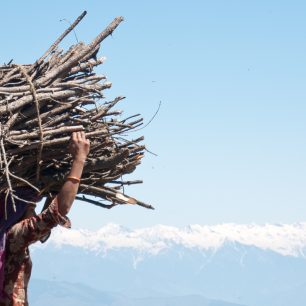 Sběr dříví je práce žen, Indie