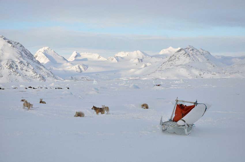 Lovecký koutek, Grónsko