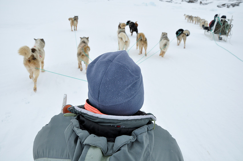 S eskymákem na saních, Grónsko