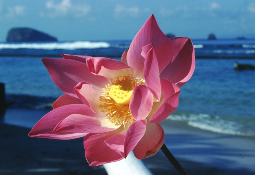 Přírodní krásy, Filipíny