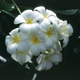 Cestovat na Filipíny se vyplatí za přírodními krásami