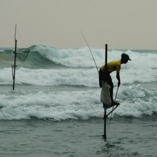 Na jihu Srí Lanky se ještě místy udržuje tradiční styl lovení ryb, při kterém rybáři balancují na kůlech.