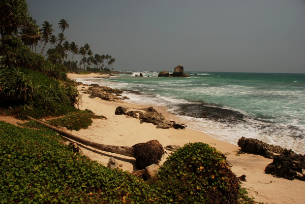 Srí Lanka má hodně pláží, ale ne všechny jsou vhodné ke koupání - místy jsou ve vodě zbytky ostrých korálů.