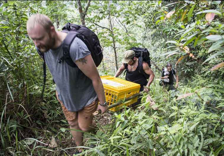 Pralesem se zachráněnými zvířaty