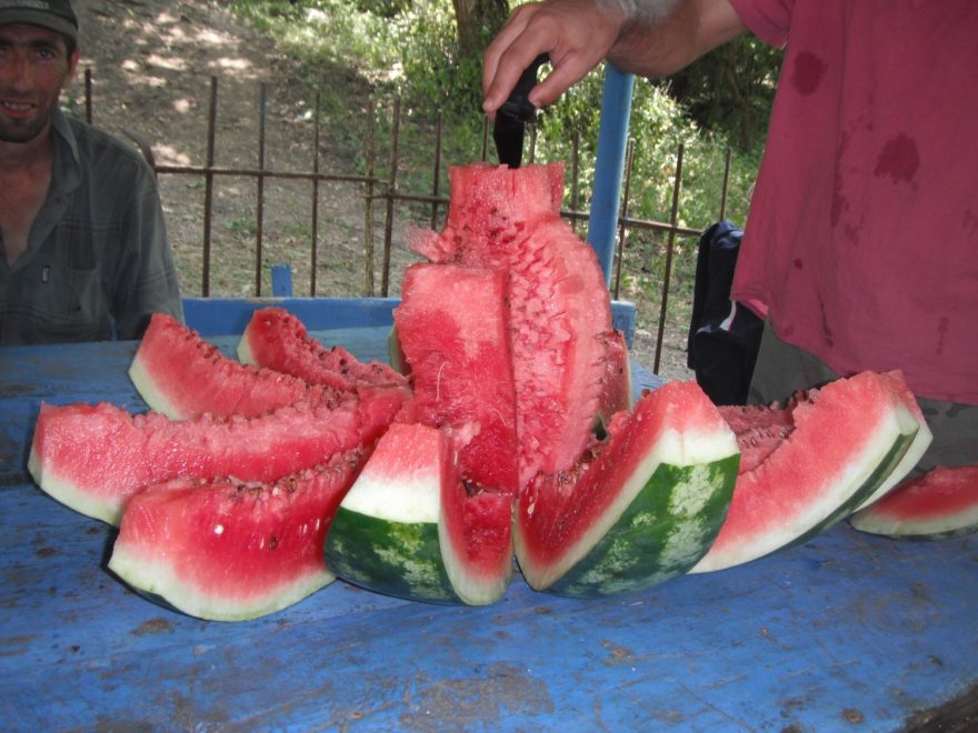 Opravdovým chuťovým zážitkem jsou melouny dozrálé na jihokavkazském slunci