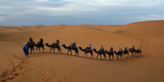 Ohlednutí za cestou