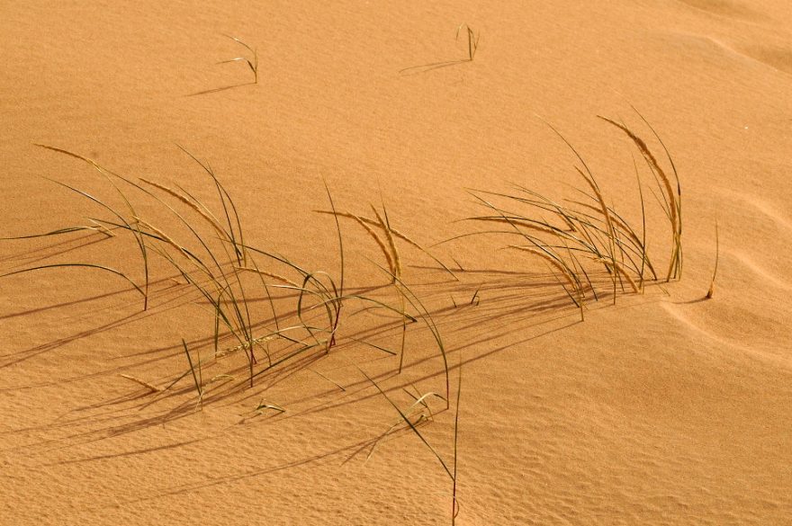 Nádherné duny Corrubedo, Španělsko
