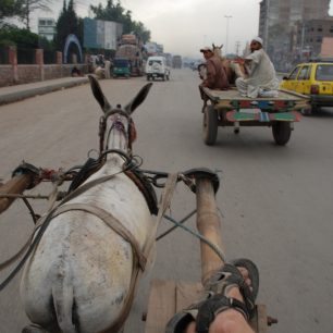 Na rychlosti mnohdy nezáleží.