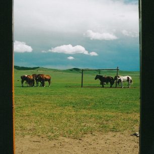 Pohled z jurty, Mongolsko