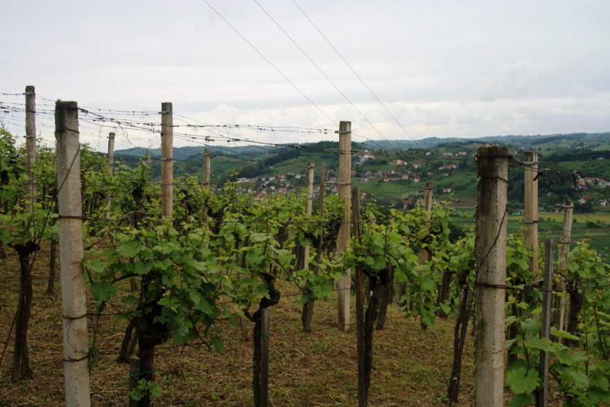 Cesta na Pyramid, Maribor