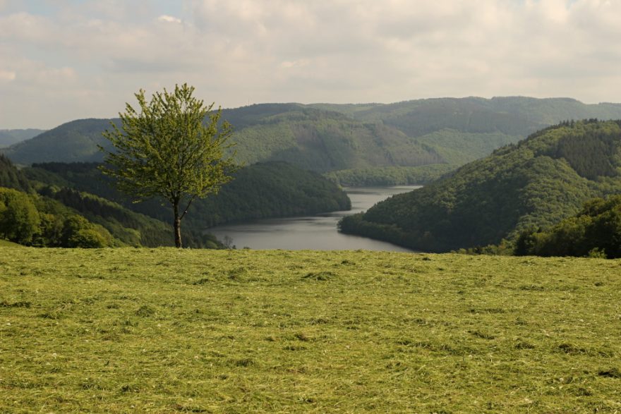 NP Eifel, Obersee