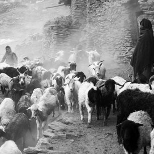 Život na indickém venkově