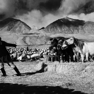 Pohled na Ladakh očima Pavla Svobody