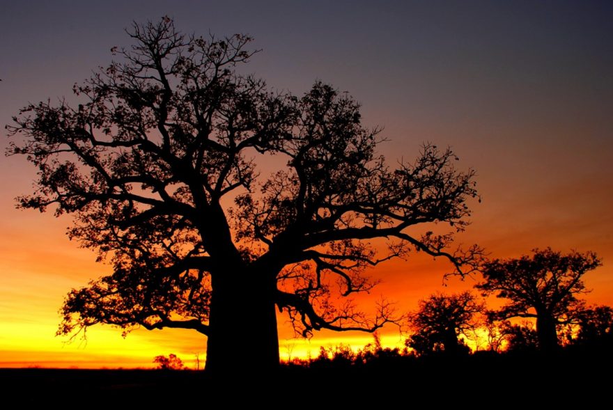 Australské večery jsou plné barev