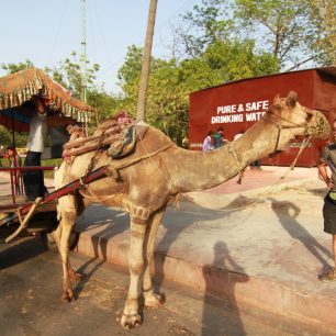 Na cestě kolem světa na byciklu