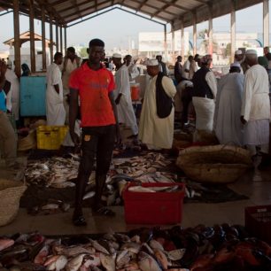 Obrovský trh s dary moře v Port Sudanu