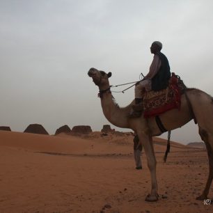 Velbloudí stezky jsou v Súdánu zcela běžné
