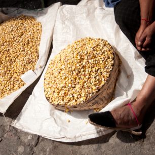 Indiánská žena v tradičních trepkách, alpargatas, prodává kukuřici, Ekvádor