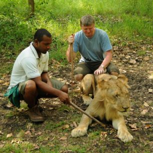 Topi a lev, Mauricius