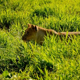 Zábavní park Castela, Mauricius