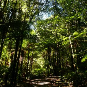 Chalet lookout trak, Nový Zéland