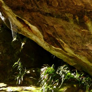 Cestou potkáte kouzelná zákoutí, Nový Zéland