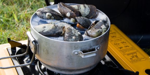 Na farmě jedlých slávek u kamarádky Marie v Ría de Arosa