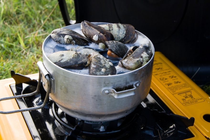 Slávky po stopařsku, Hebridy